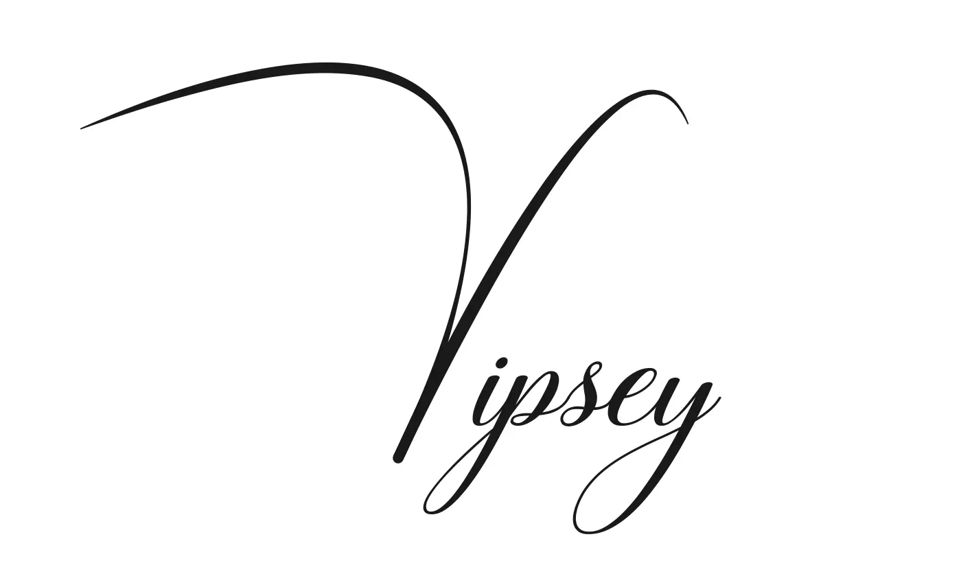 Aperçu de la charte graphique Vipsey